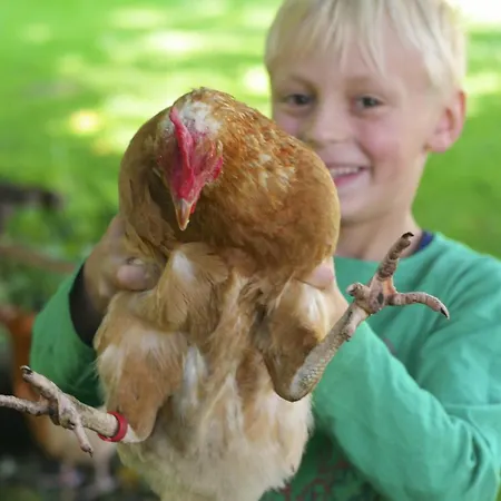 度假居 Harzer Feriengarten 奎德林堡