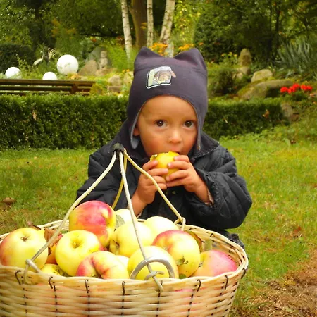 Feriehus Harzer Feriengarten Quedlinburg