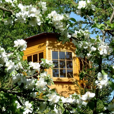 Tatil Evi Harzer Feriengarten