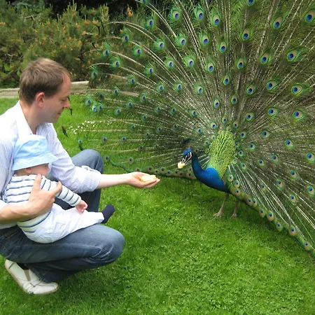 Feriehus Harzer Feriengarten Quedlinburg