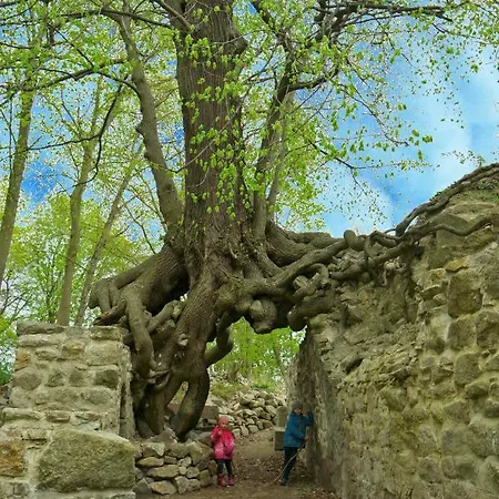 Harzer Feriengarten 度假居