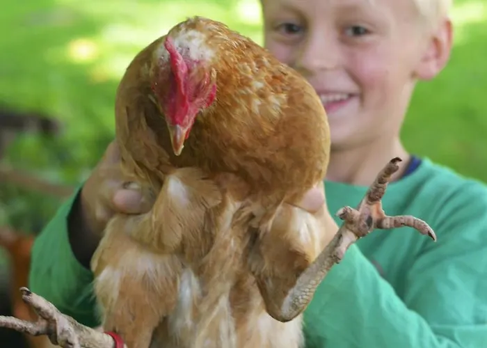 Vakantiehuis Harzer Feriengarten Quedlinburg