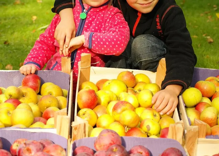 Harzer Feriengarten Quedlinburg