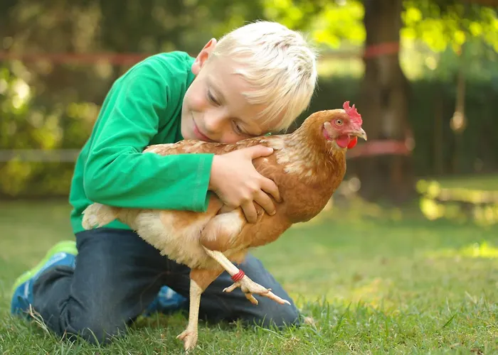 Vakantiehuis Harzer Feriengarten