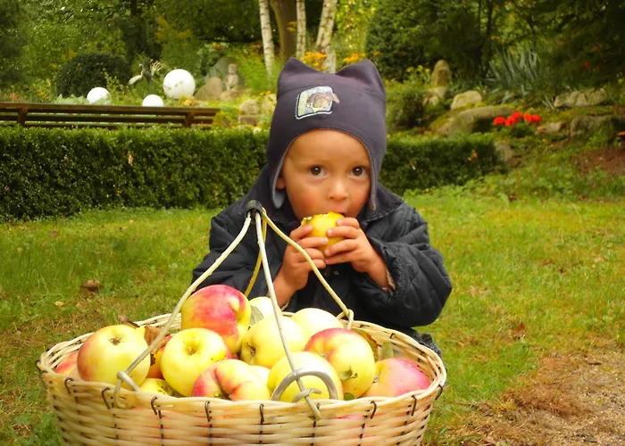 Vakantiehuis Harzer Feriengarten Quedlinburg