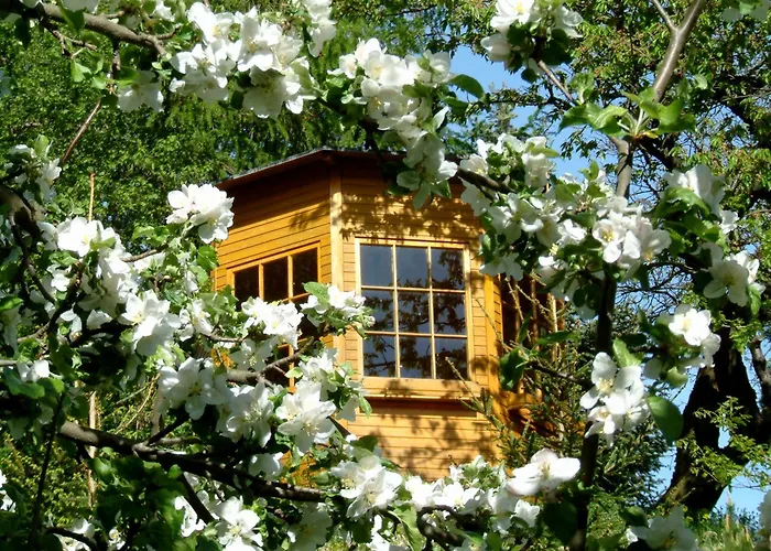 Vakantiehuis Harzer Feriengarten