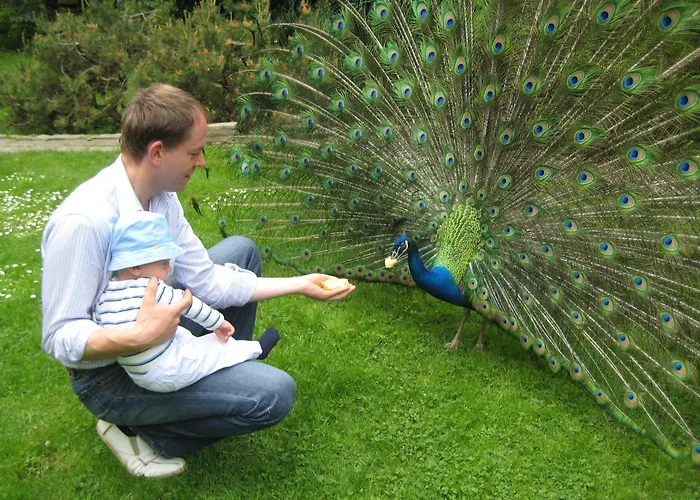 Vakantiehuis Harzer Feriengarten Quedlinburg