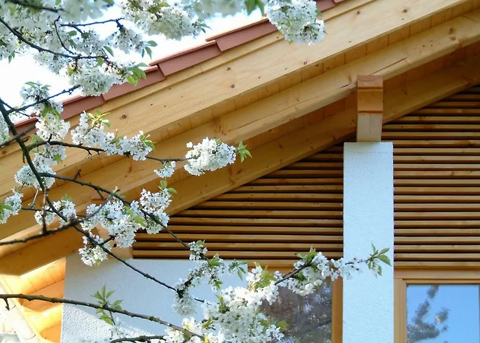 Vakantiehuis Harzer Feriengarten