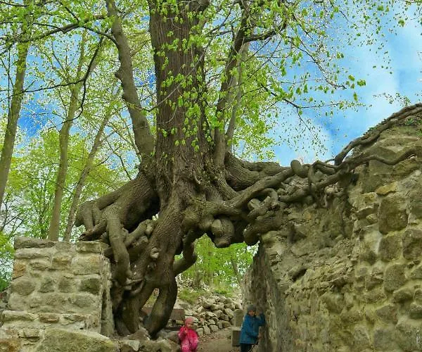Harzer Feriengarten Vakantiehuis